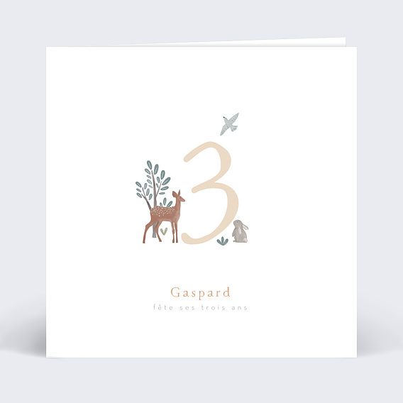 Invitation anniversaire enfant Petite Prairie