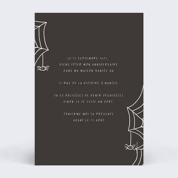 Invitation anniversaire enfant Toile d'Araignée Verso
