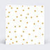 Invitation anniversaire enfant Plumetis Ocre Verso