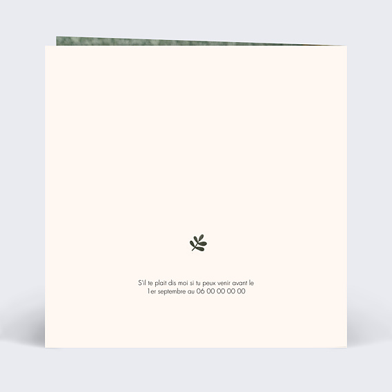 Invitation anniversaire enfant Petit Lion Verso