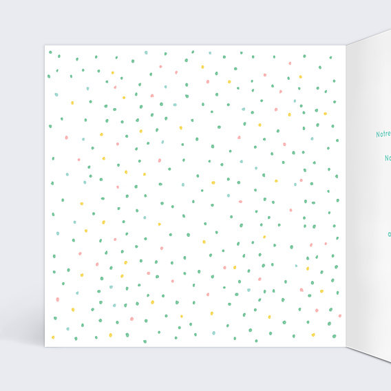 Invitation Anniversaire Enfant Flamants Roses