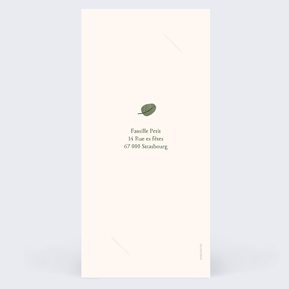 Invitation anniversaire enfant Petit lion photo Verso