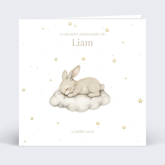Invitation Anniversaire Enfant Lapin Mignon