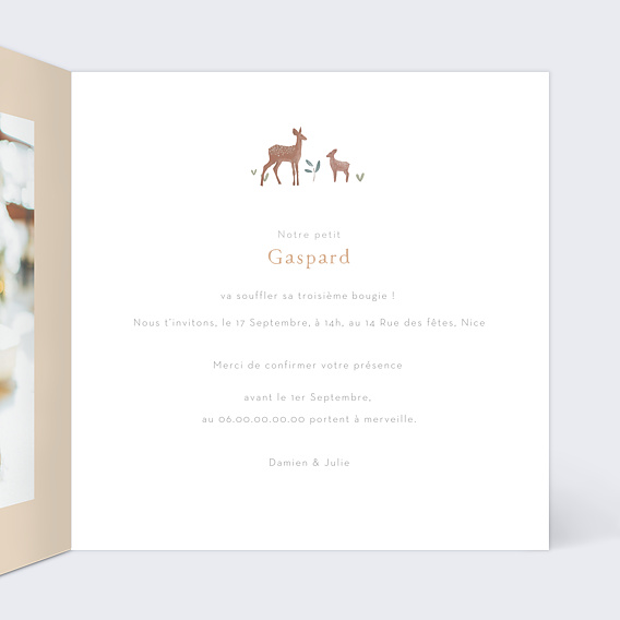 Invitation anniversaire enfant Petite Prairie Intérieur Droit