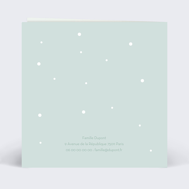 Invitation Anniversaire Enfant Chats Verso