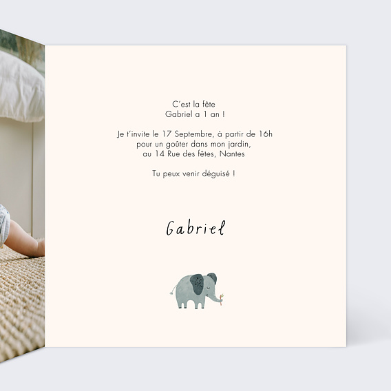 Invitation Anniversaire Enfant Petit Lion