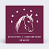 Invitation anniversaire enfant Poney