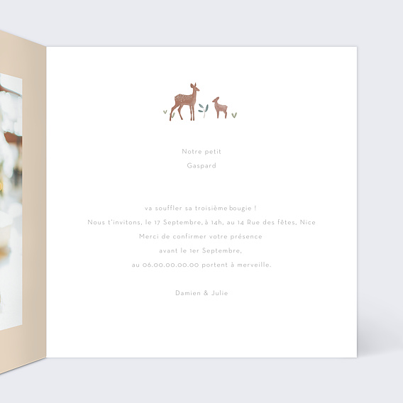 Invitation Anniversaire Enfant Petite Prairie