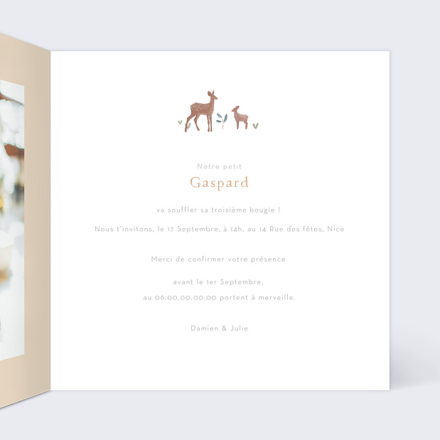Invitation Anniversaire Enfant Petite Prairie Intérieur Droit