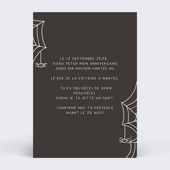 Invitation Anniversaire Enfant Toile d'Araignée
