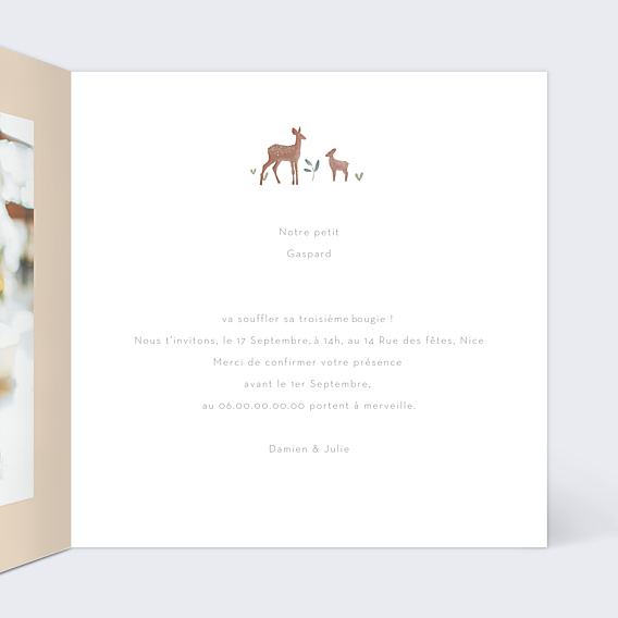 Invitation Anniversaire Enfant Petite Prairie
