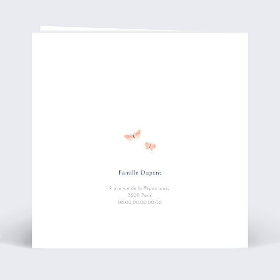 Invitation anniversaire enfant Papillons Verso