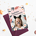 Invitation anniversaire enfant Petit Chat Après 1