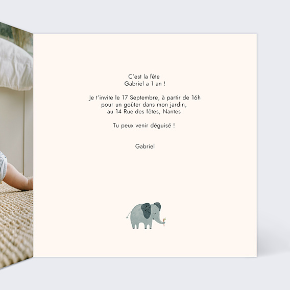 Invitation Anniversaire Enfant Petit Lion