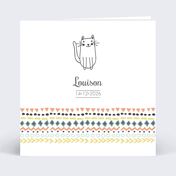 Invitation Anniversaire Chat Popcarte