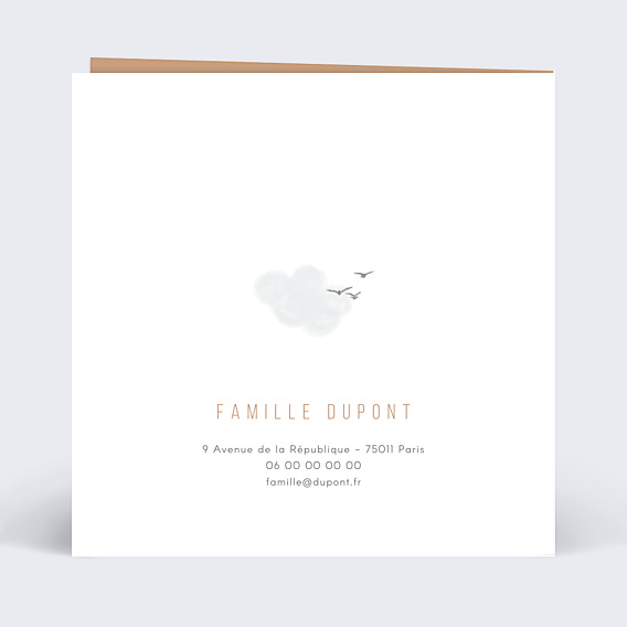 Invitation Anniversaire Enfant Petit Aviateur
