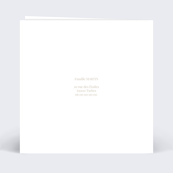 Invitation anniversaire enfant Lapin Mignon Verso