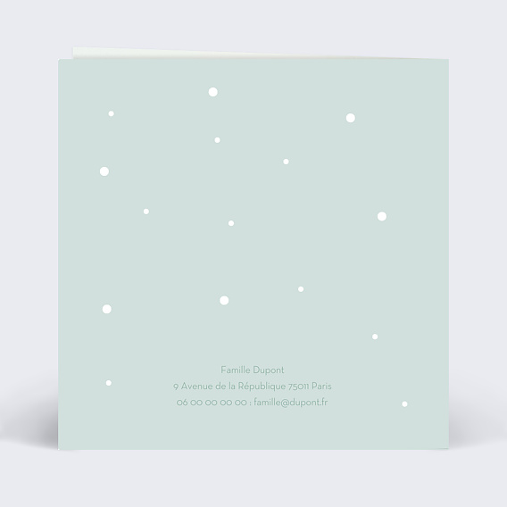 Invitation anniversaire enfant Chats  Verso