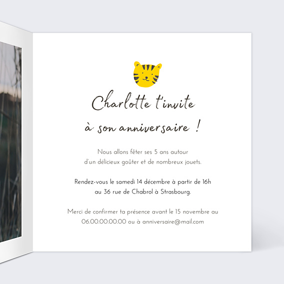 Invitation Anniversaire Enfant Graouu