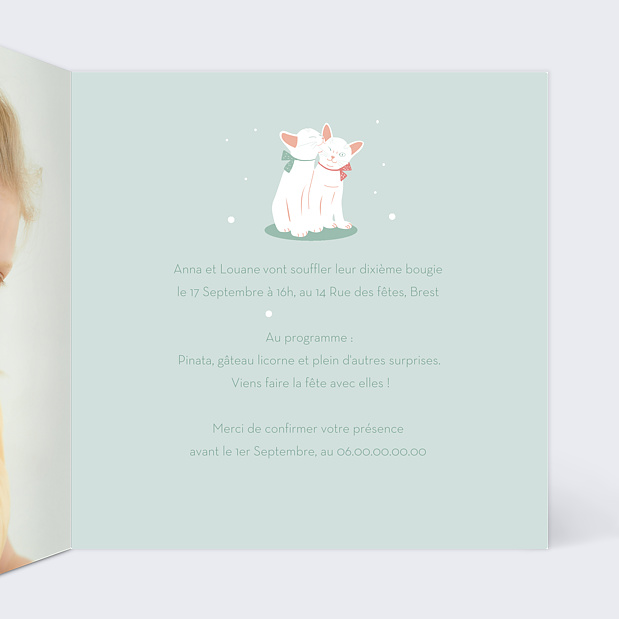 Invitation Anniversaire Enfant Chats Intérieur Droit