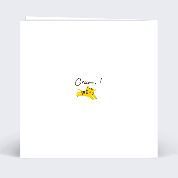 Invitation Anniversaire Enfant Graouu
