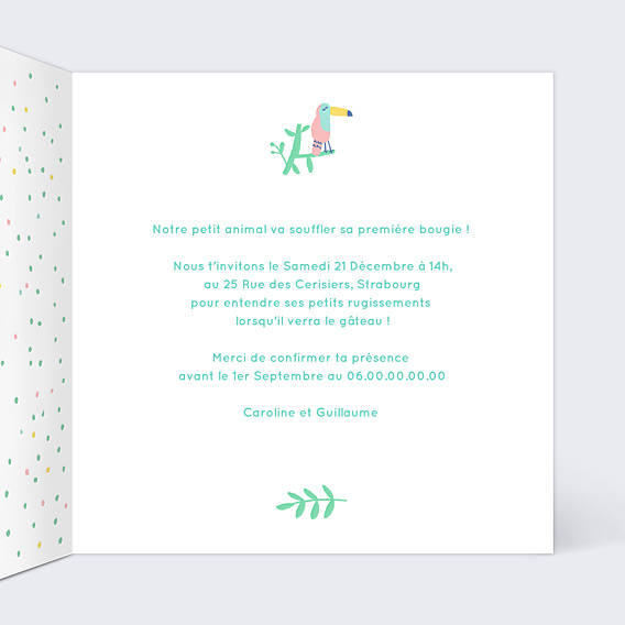 Invitation Anniversaire Enfant Flamants Roses