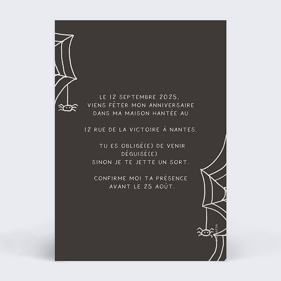 Invitation anniversaire enfant Toile d'Araignée Verso