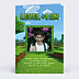 Invitation Anniversaire Enfant Anniversaire en blocs