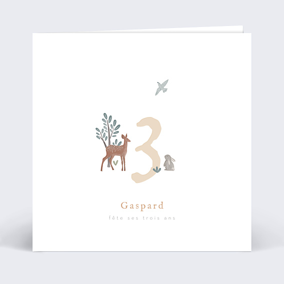 Invitation Anniversaire Enfant Petite Prairie