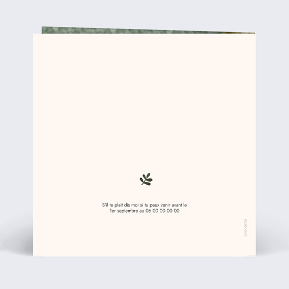 Invitation Anniversaire Enfant Petit Lion