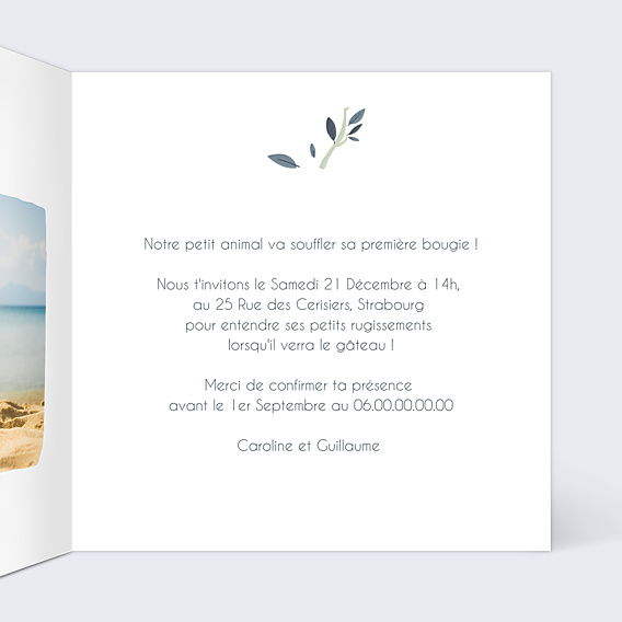 Invitation Anniversaire Enfant Animaux Sauvages