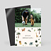 Magnet anniversaire Petite Jungle