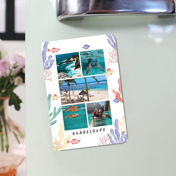 Magnet Carte Postale Aquatique