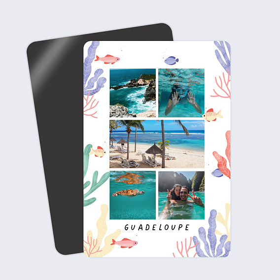 Magnet Carte Postale Aquatique