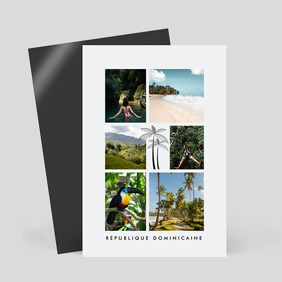 Carte postale aimantée Sous les Palmiers