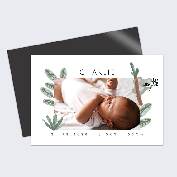 Magnet faire-part naissance Koala Mignon