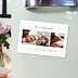 Magnet remerciements naissance Certificat Moderne