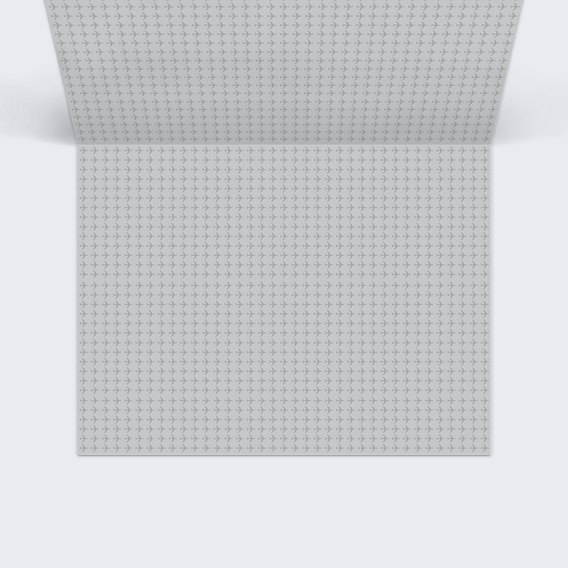 Marque-place anniversaire  Billet d'Avion Intérieur Droit