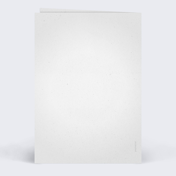 Menu anniversaire journal Verso