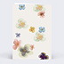 Menu mariage Profusion aqurelle Verso