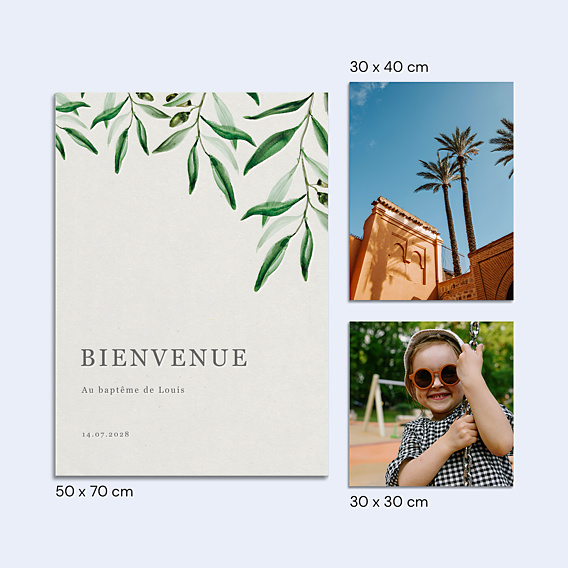 Panneau baptême Arche et Oliviers