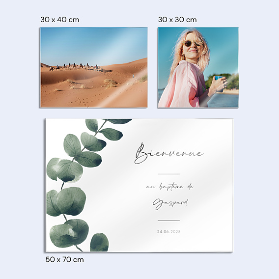 Panneau baptême Branche d'eucalyptus