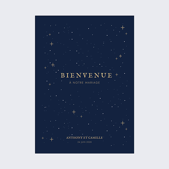 Panneau Mariage Notre constellation