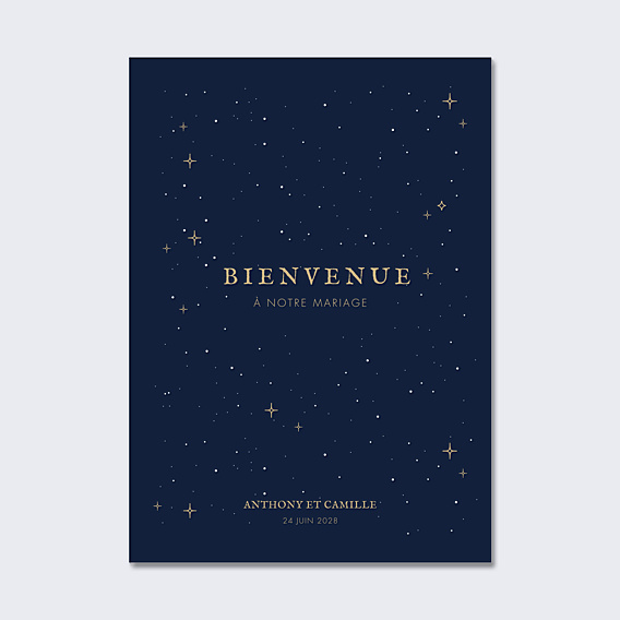 Panneau Mariage Notre constellation