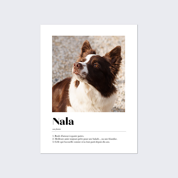 Affiche famille Définition de mon animal