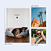 Poster famille Petite Patte