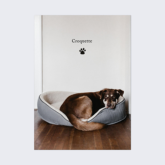 Poster famille Petite Patte