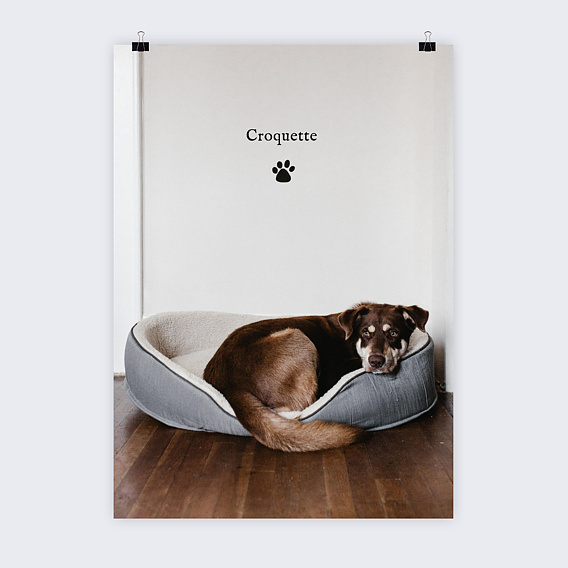 Poster personnalisé Animaux de Compagnie