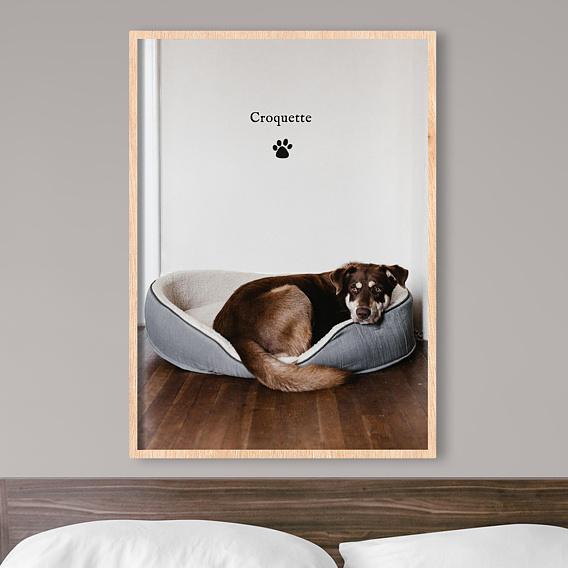 Affiche famille Animaux de Compagnie Après 1