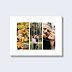 Poster famille Triptyque Photos